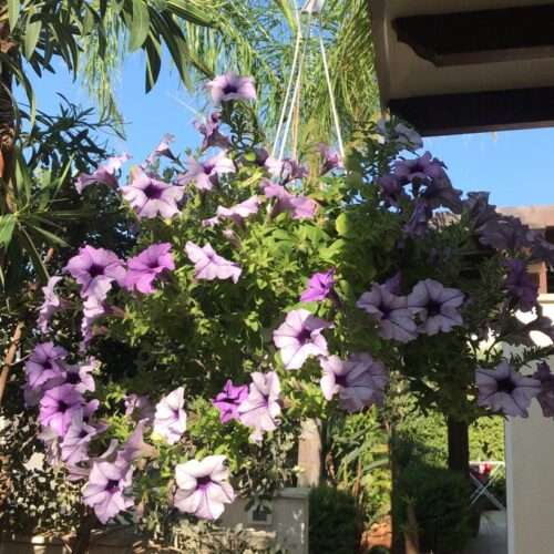 bedandbreakfast-cimabianca-24